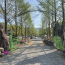 사계절오토캠핑장 | 사이트 넓은 부산근교 밀양사계절캠핑장 B1 이용후기