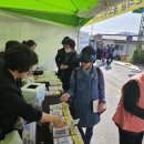 태백산맥거리 이미지