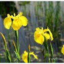 창포산업 이미지