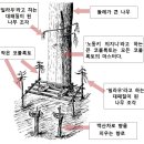 동일문화(주)