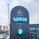 낚고락고 | 제주도 여행 함덕 낚시 신흥낚시공원 낚고락고 아이랑 낚시체험