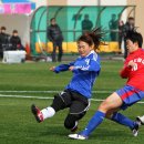 탄금축구장 축구장 이미지