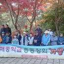 동해중학교 이미지