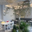 분당-188 이미지