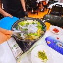(토요 힐링여행) 7월 17일 동양 최대의 백련 자생지 무안 회산 백련지 &amp; 국내최장 해상목교 갯벌랜드 &amp; 무안여행 이미지