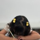 보글 | 스튜디오보글 후기_2025년 하반기