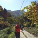 강촌관광농원 이미지