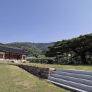 임천관아지 소나무 이미지