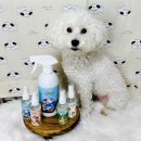 강아지세상 고양이세상 | 고양이 강아지 탈취제, 뽀숑하우스 추천 이유