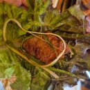 종암중앙어린이집 이미지