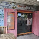 에니펫동물병원 이미지