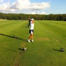 미성 골프연습장 이미지