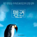 펭귄 - 위대한 모험[March Of The Penguins, 2005] 이미지