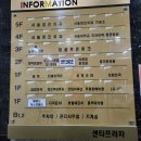 도화 킹스크린 이미지