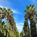 신화농장 | 제주 서쪽 여행 코스 어음리억새군락지 신화월드 코스모스 신화가든 트로피카나