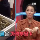통영바다정원 이미지