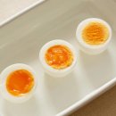 개를 위한 하루 이미지