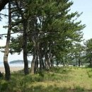 땅끝마을펜션 이미지