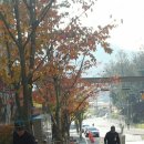 세탁소가는길 이미지