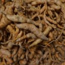 영진고등학교 이미지