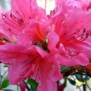 거북공원 이미지