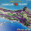 활주로민박 이미지