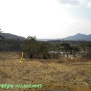덕산양계 네이버블로그
