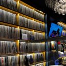 두곡빌딩 | 신논현역 분위기 좋은 LP바 제플린 강력추천 후기!