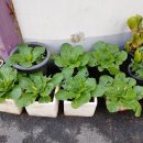 서림미술학원 이미지