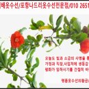 나드리옷수선 이미지