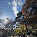 통도사(부산) | 부산 근교 가을여행 통도사 단풍 실시간 및 주차 포토존