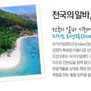 오션크루