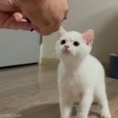 진심 이미지