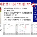 태권숲 여아전문태권도장 이미지