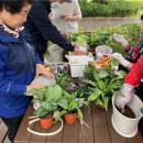 치유원예테라피 이미지