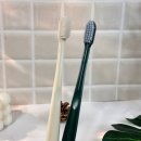 그린어스크리닝 | 이중미세모칫솔 추천 덴티마마 프레쉬 어스 성인 칫솔 치과칫솔로 치아건강 지키는 법 🦷