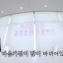 카이썰 이미지