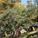 당간지주공원 화장실 이미지