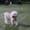 팡앤뭉치 이미지