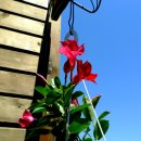 산복도로 종합체험센터 이미지