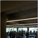 셀럽피트니스 이미지