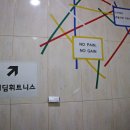 디딤빌 이미지