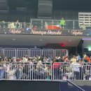 나니와단시 +알파 콘서트 후기🌟