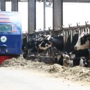 자동축산 이미지