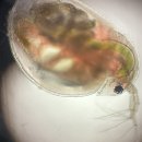 사하중앙약국 이미지