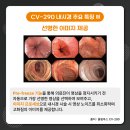 (주)대호헬스케어 이미지