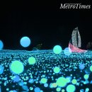남강광고기획 | SNS로 축제 인파 몰리게 하는 놀라운 마케팅 기법