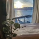 온실속베니 이미지