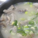 꽃돼지다방 이미지