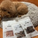 삼형제 펫푸드 이미지